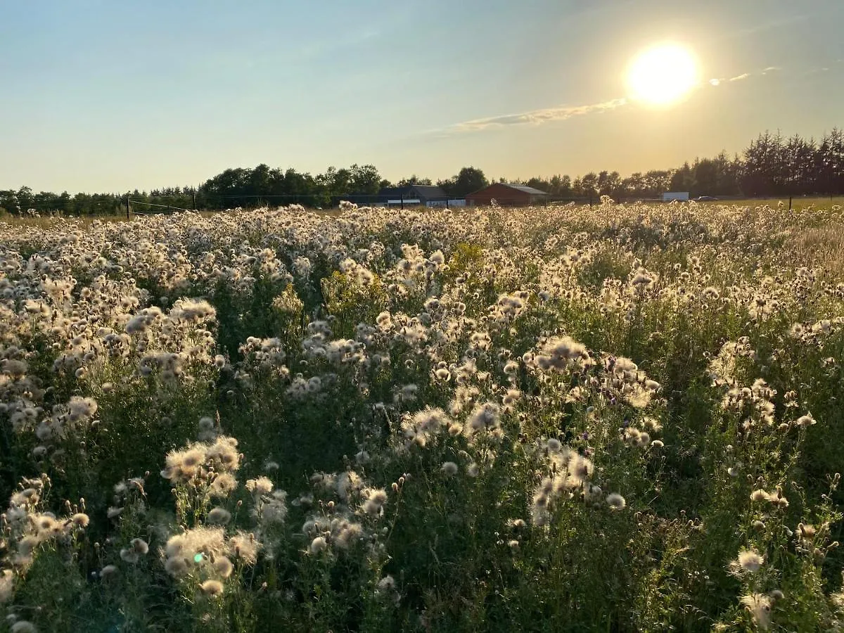 Billund-Bnb Aps 2*, Billund